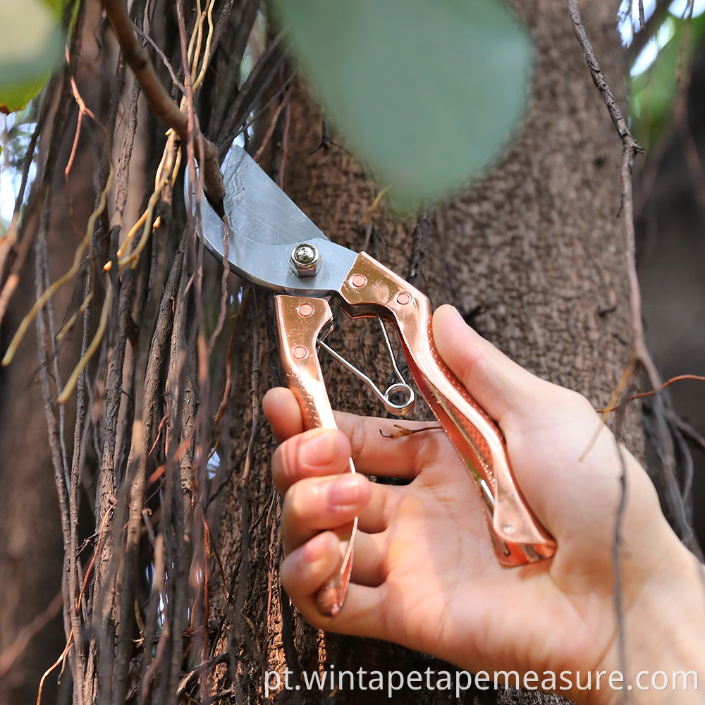 Novo projeto de planta tesoura ferramenta de jardim de aço inoxidável tesoura de poda tesoura para árvores